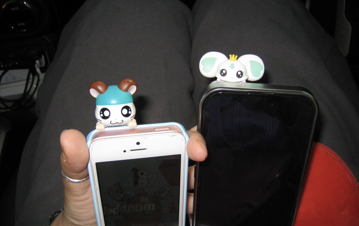 장세모 tweet media