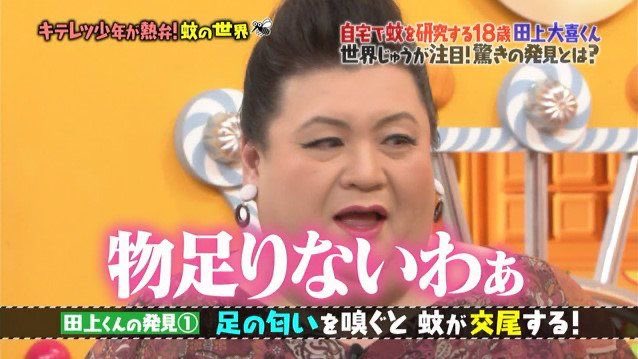 人間の底辺 tweet media