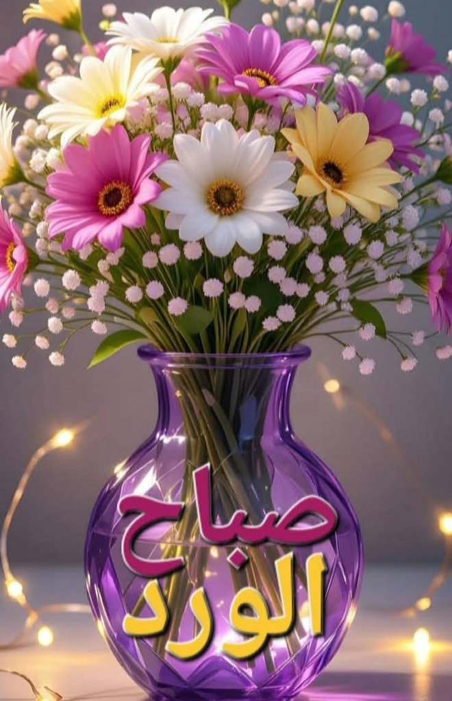 الشروق 🌞 tweet media