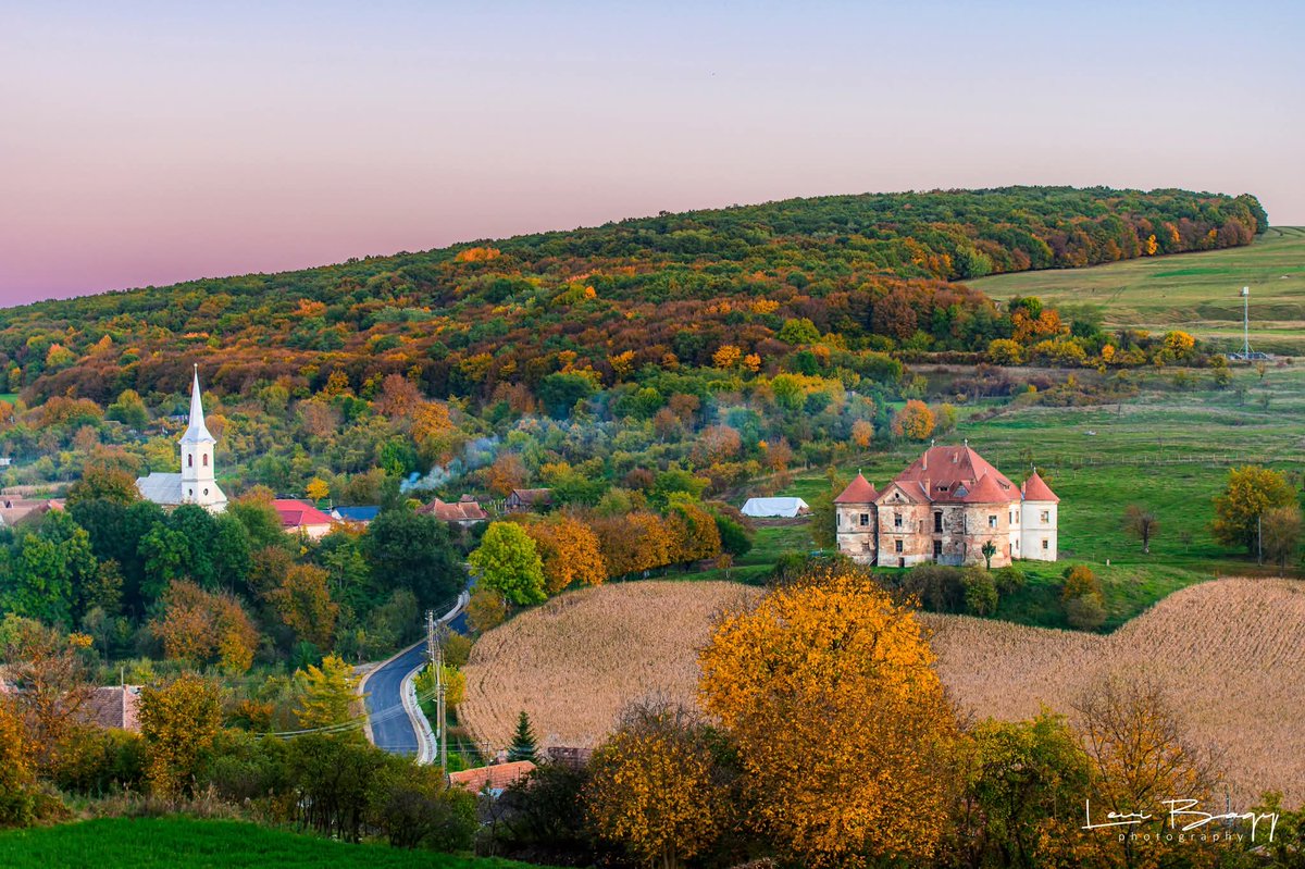 ₿alkan ₿adass tweet media