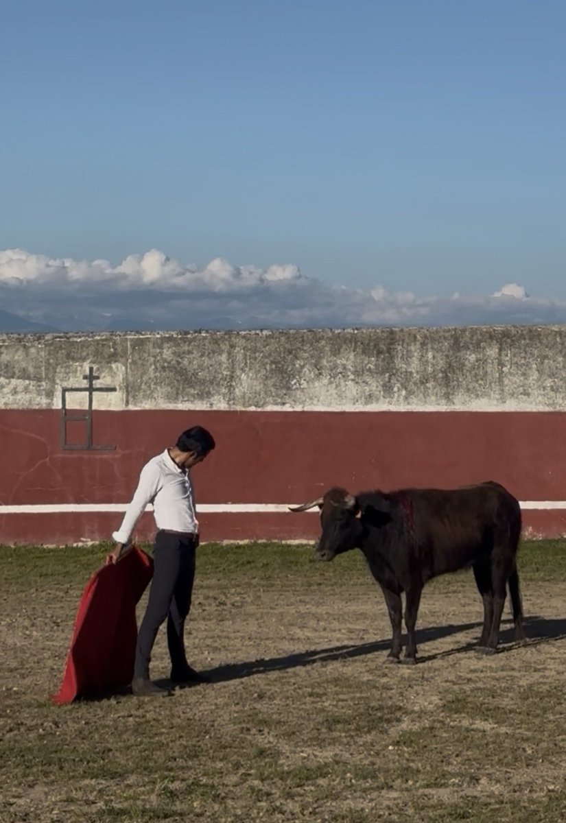 Joaquin Angelino de Arriaga tweet media