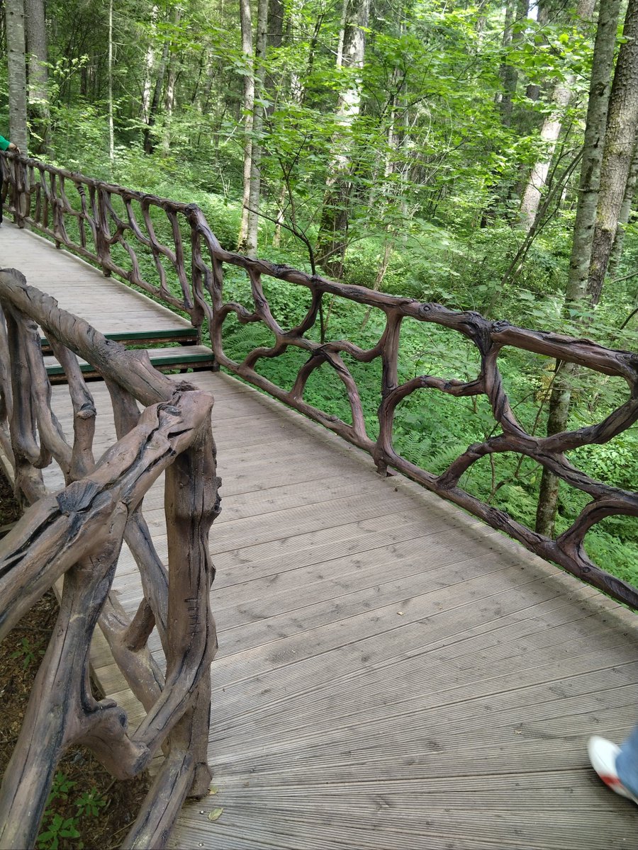 Sandrine Chartrain tweet media