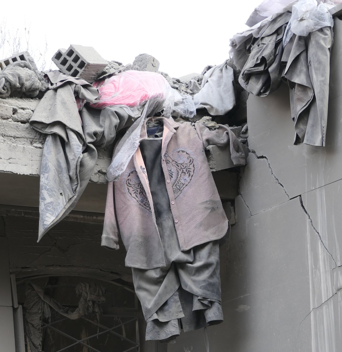 مه‌آفرید tweet media