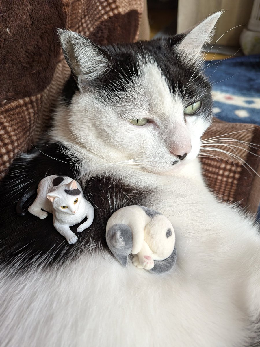 むぎちゃCo tweet media