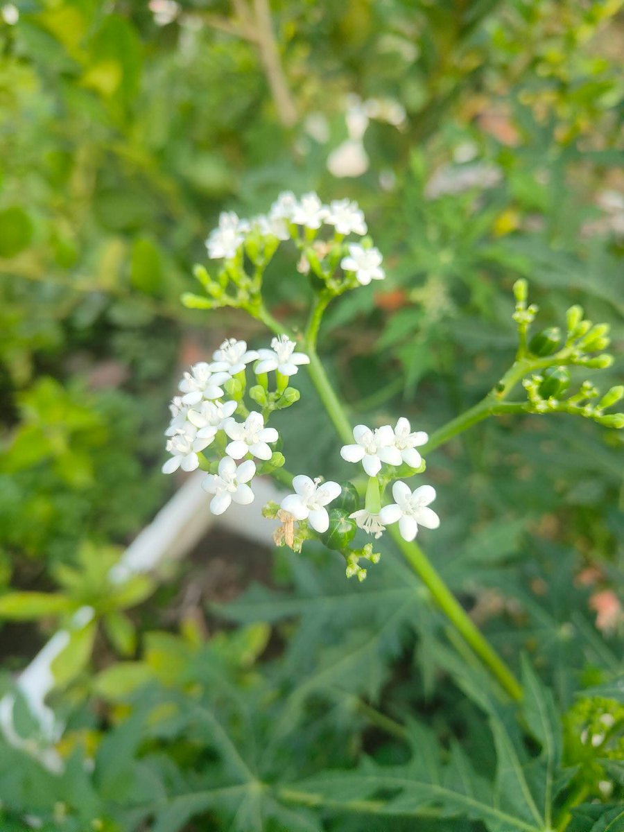 CHUYẾN XE KÌ CỤC ❤❤❤ tweet media