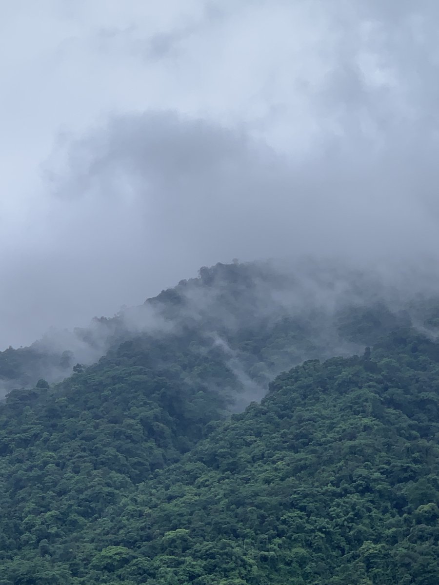 Crypto Zac tweet media