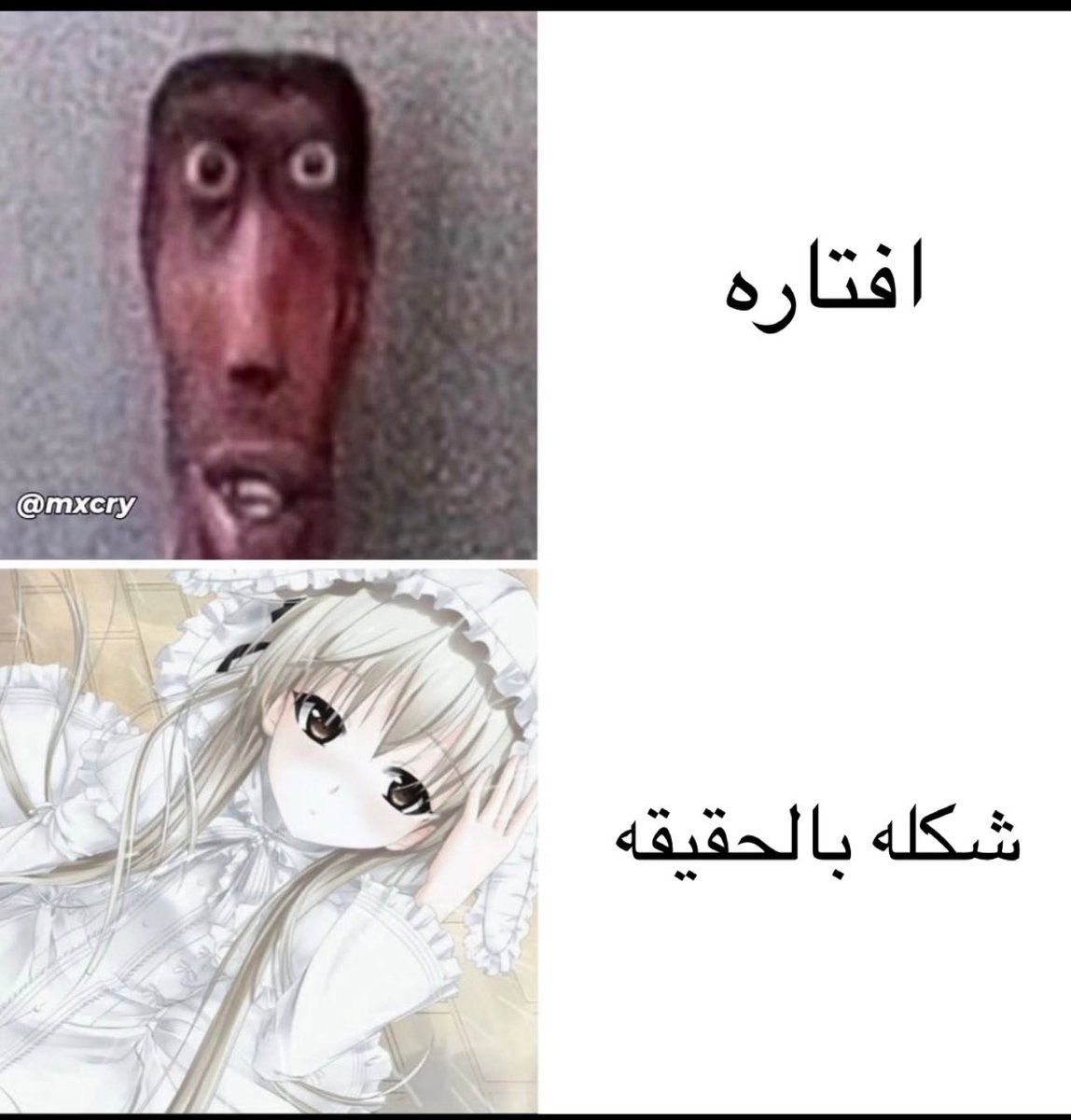 شيمو 🇸🇦 tweet media