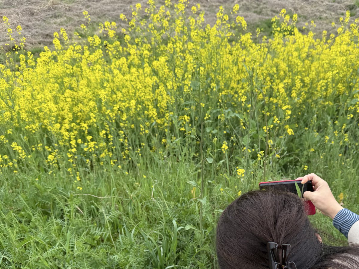 sakiーᔦ๑° ꒳ °๑ᔨ🖤🌙🎶 tweet media