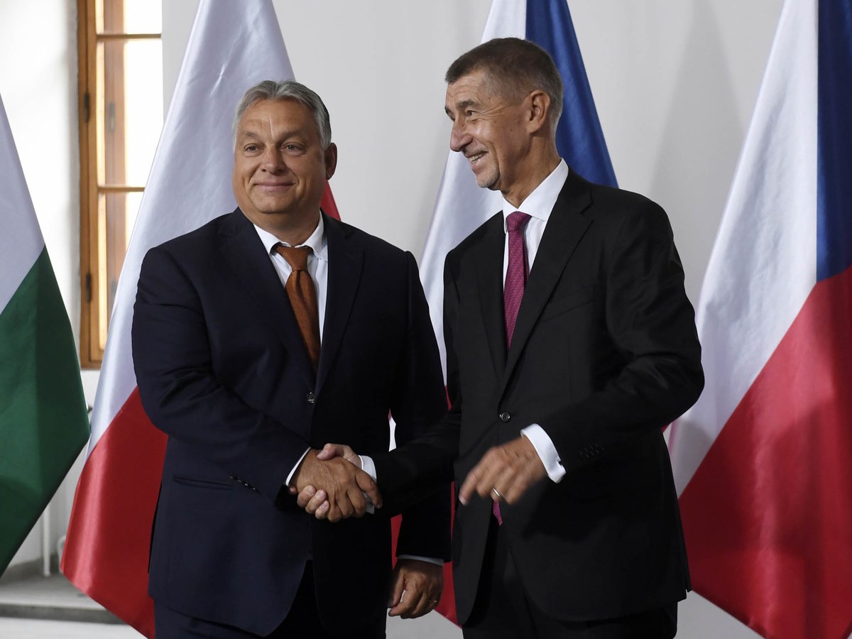 Radek Müller 🇨🇿 🇮🇱 🇺🇦 tweet media