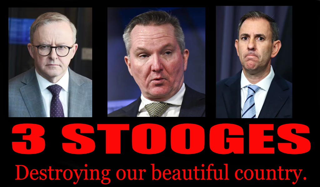 Moondani tweet media