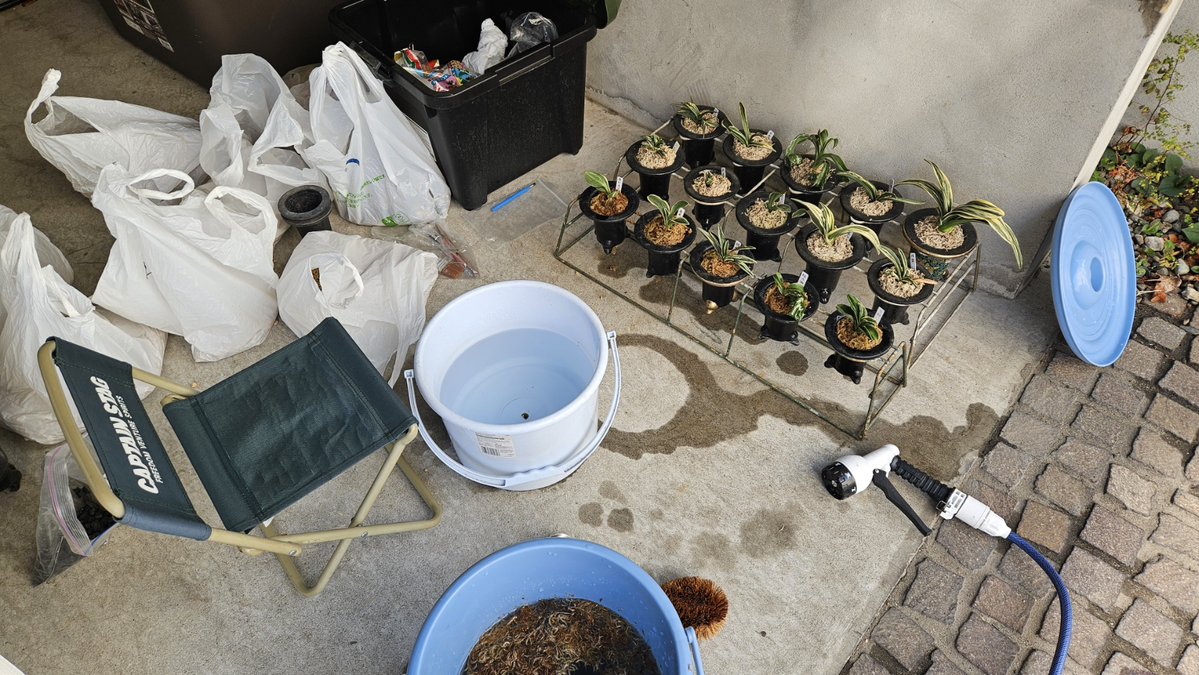 くるくるキャプテン tweet media