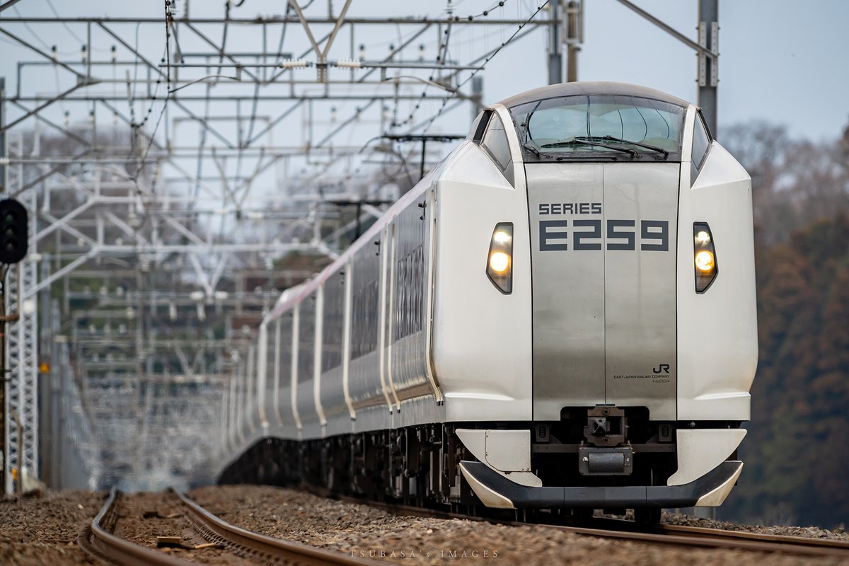 F. P. Cheng tweet media