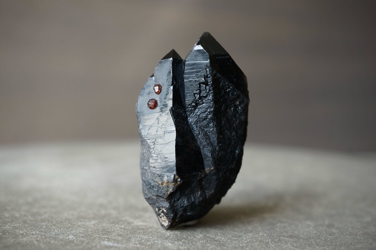 叙景 jokei 鉱物 / 風景石 / 化石 /水石 tweet media