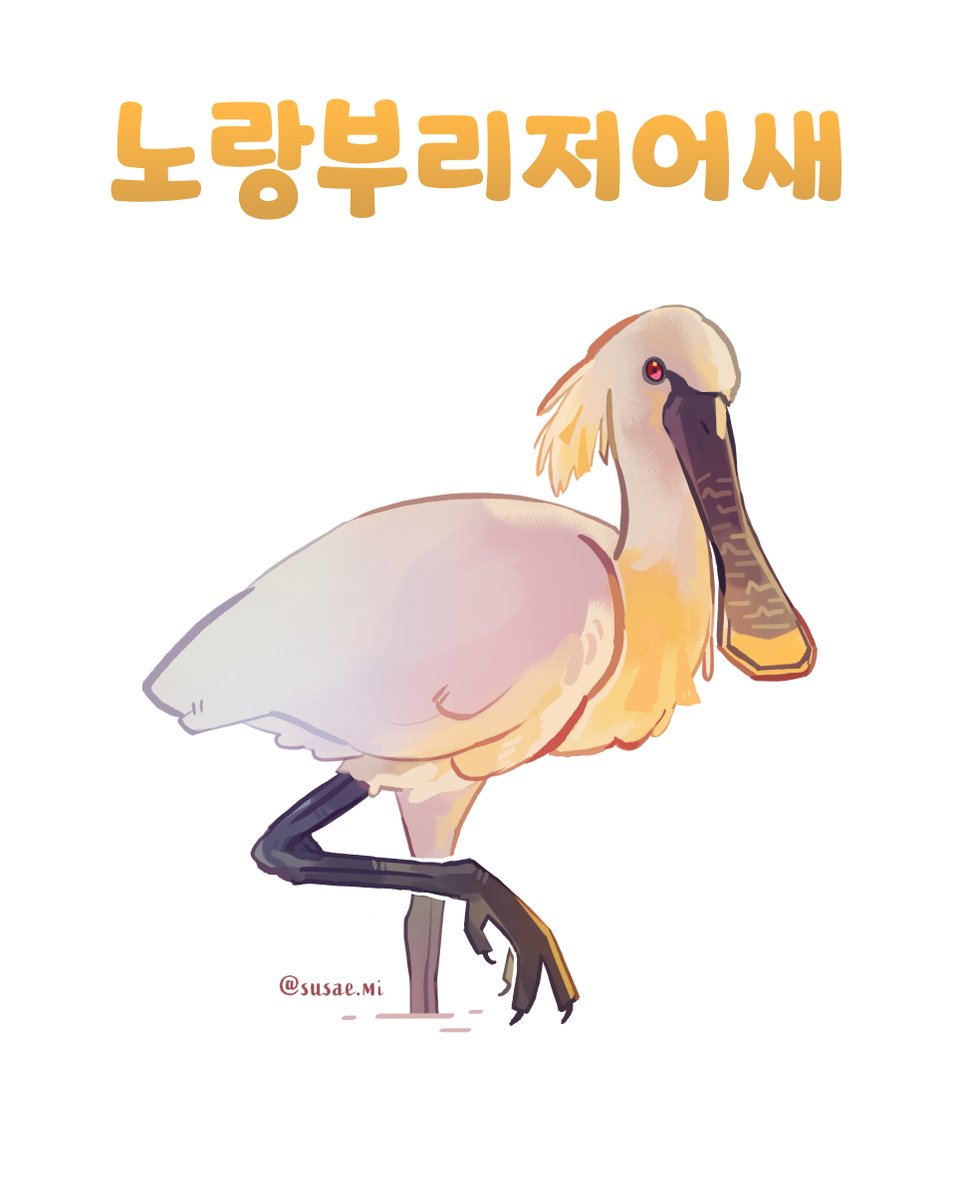 수새미 tweet media