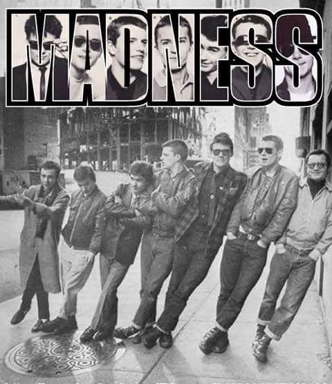 Madness Daily tweet media