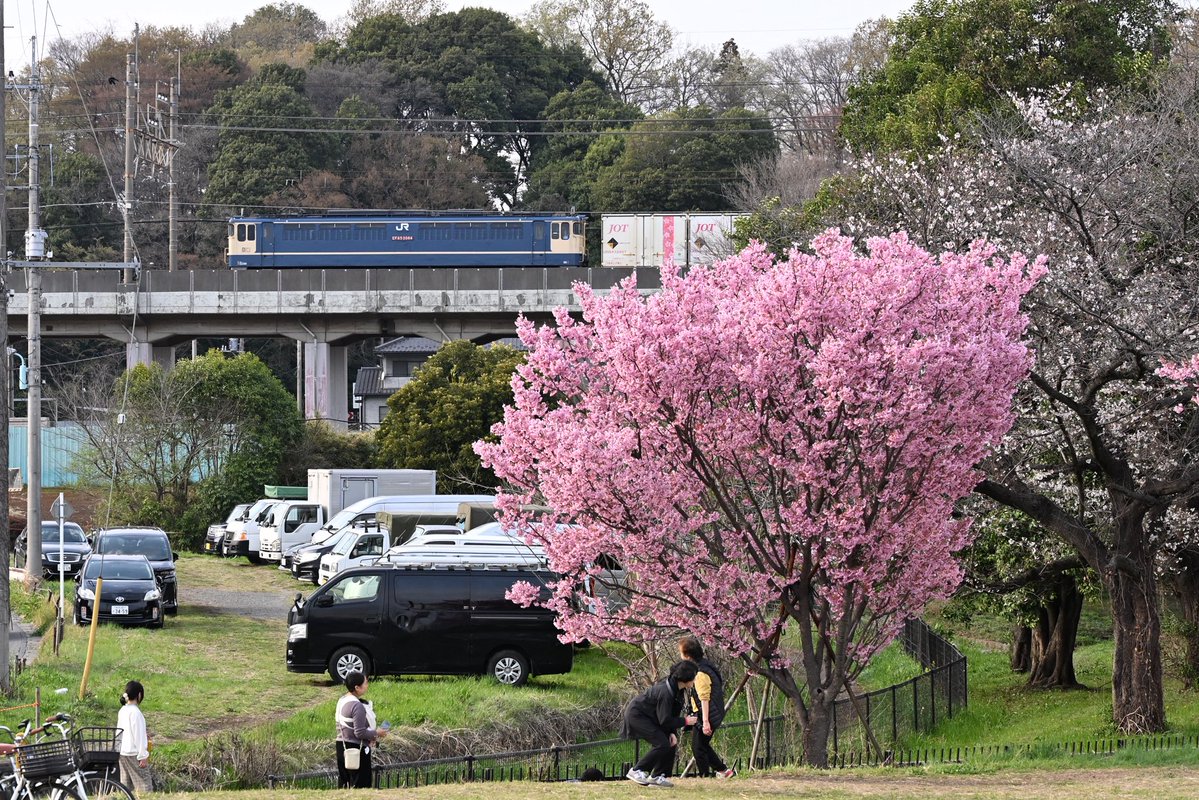 猫house tweet media