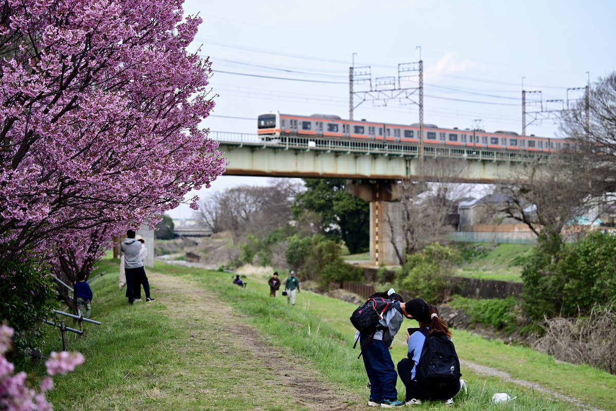 猫house tweet media