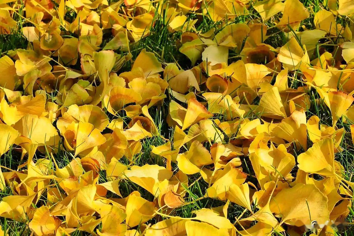 jemjon69 tweet media