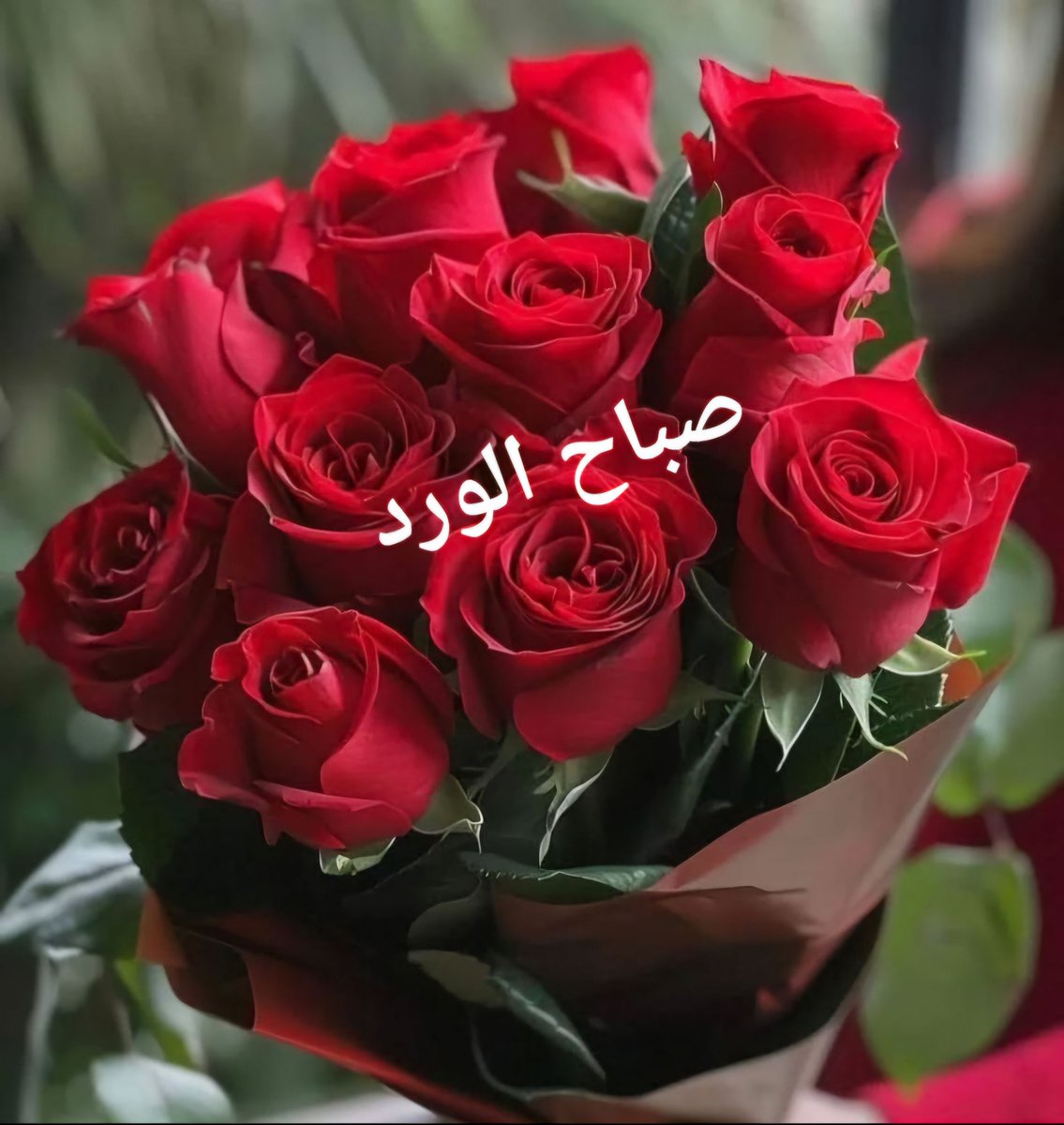 Mohammad Alsaudi 🇯🇴 tweet media