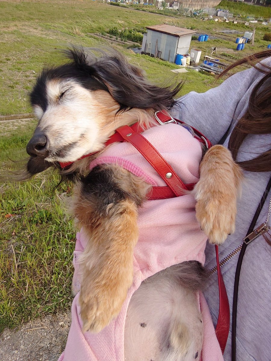 ♡鼻水たれお19歳9ヶ月♡ tweet media