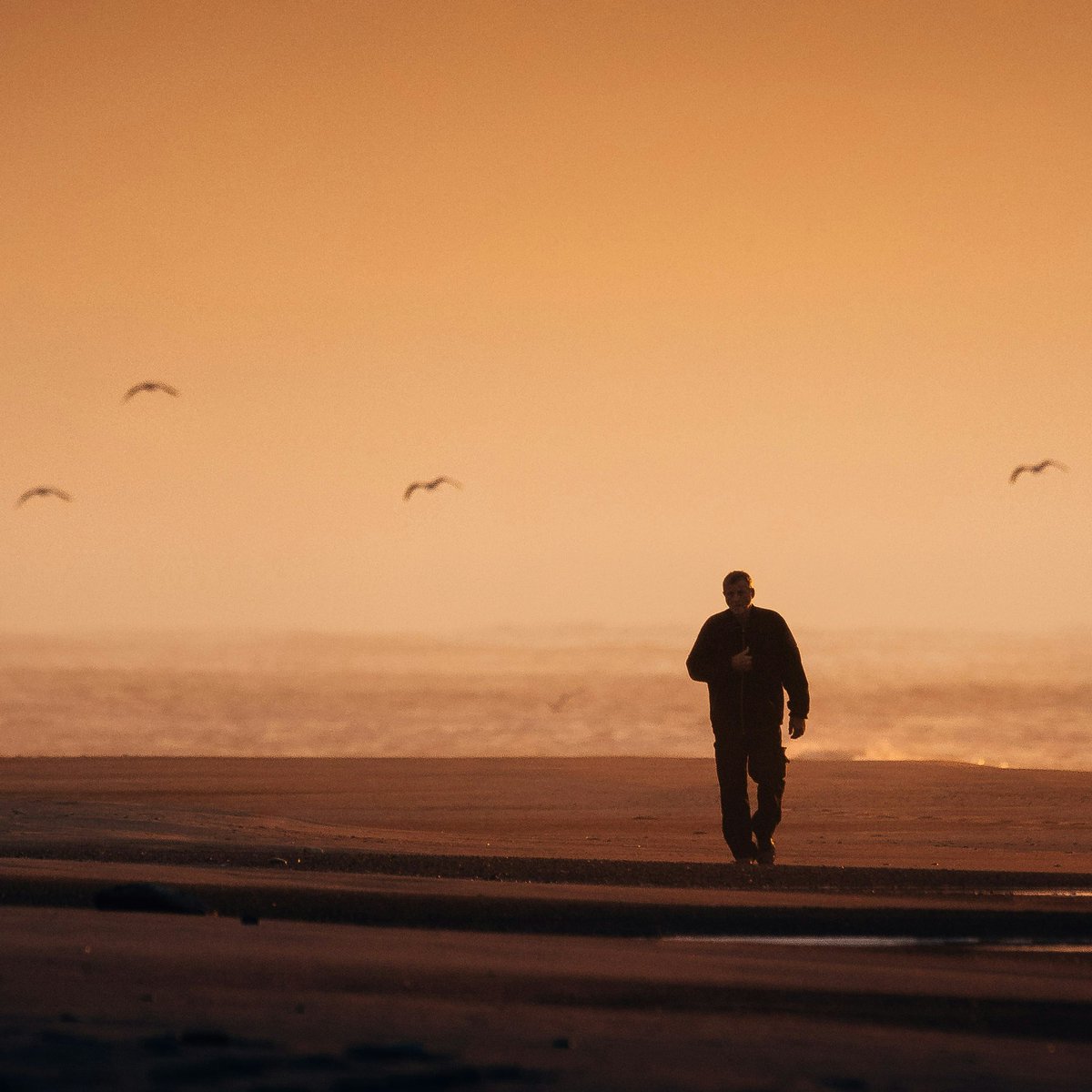 Real Hermandad de San Antonio Abad de Valencia tweet media