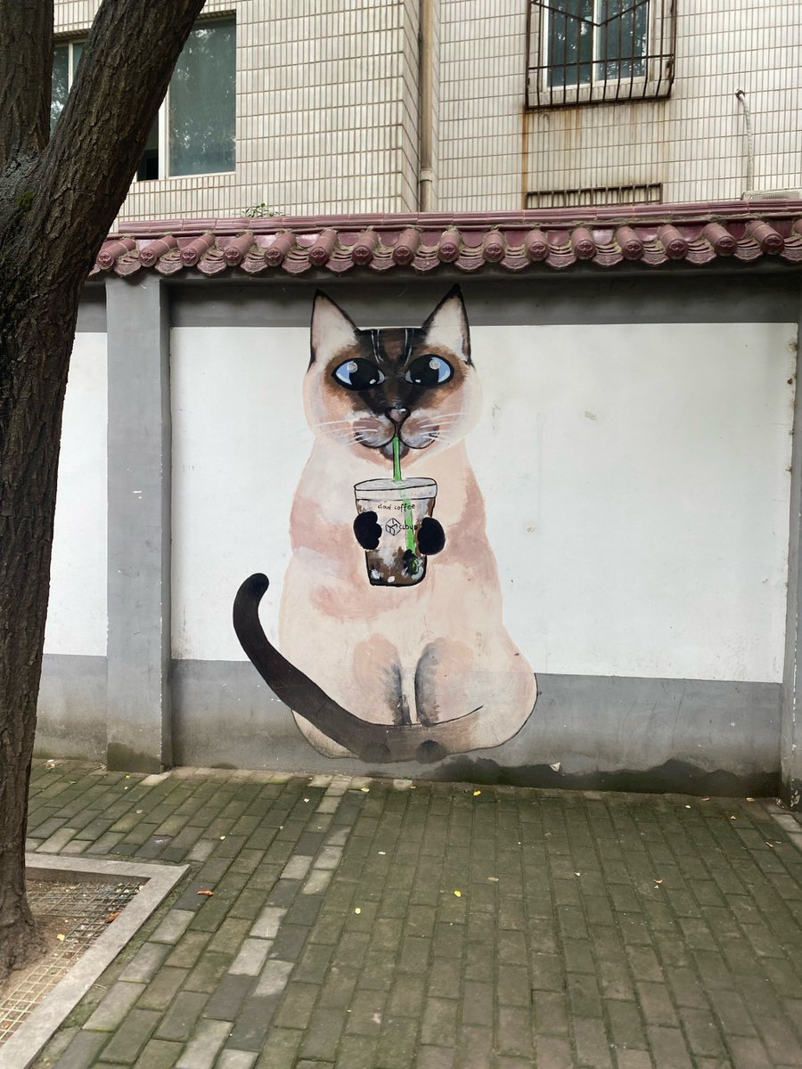 jesus ambriz tweet media