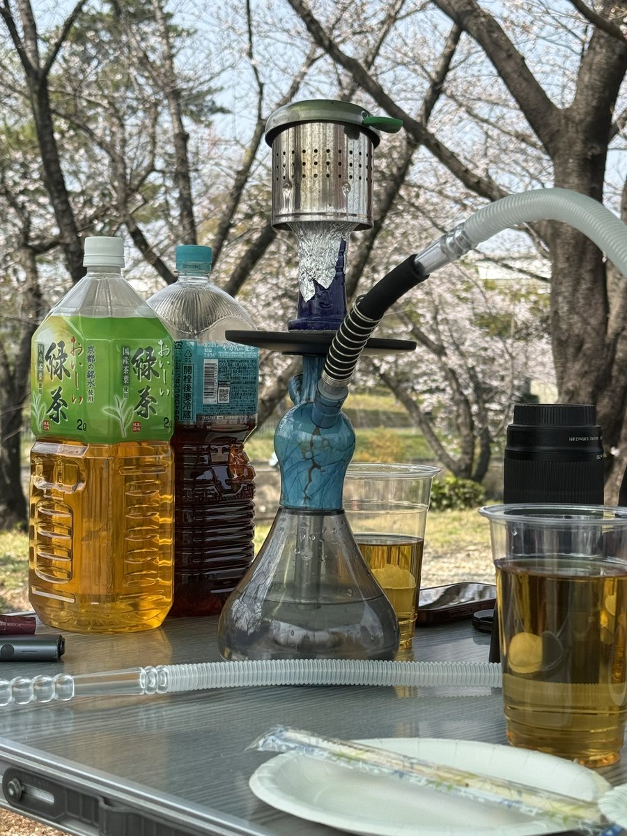 さく🐼ྀི tweet media