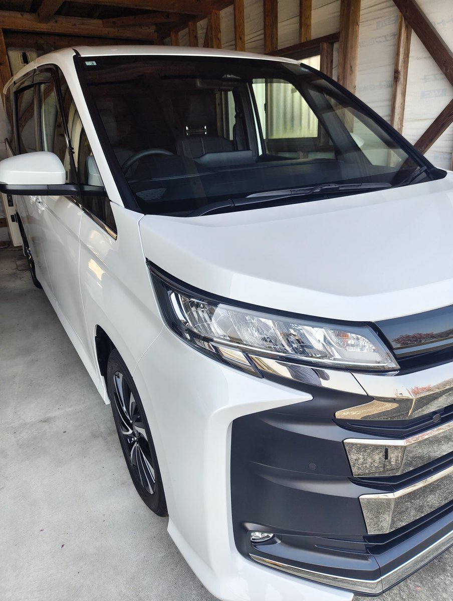 高い買い物しちゃった…