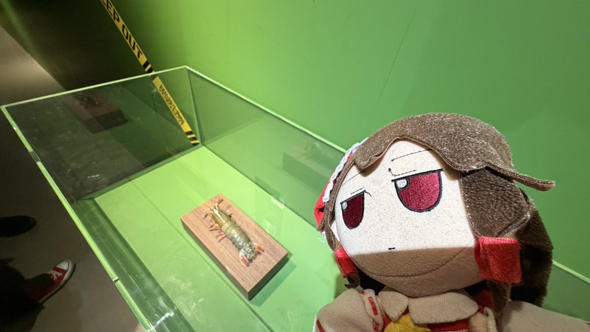 ふもふも幻想郷/Fumo JP Server tweet media