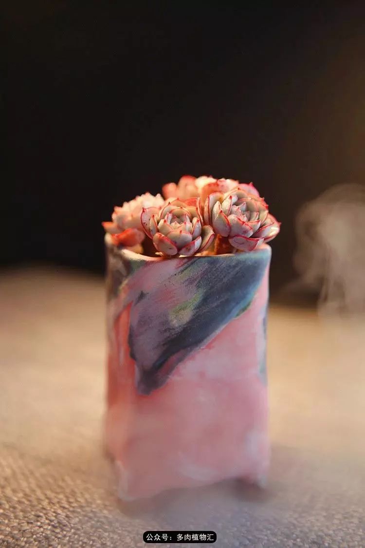 andrea christine tweet media