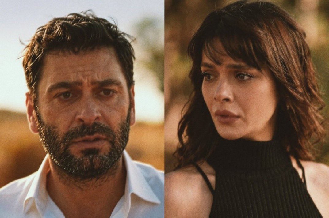 Meero🪴 tweet media