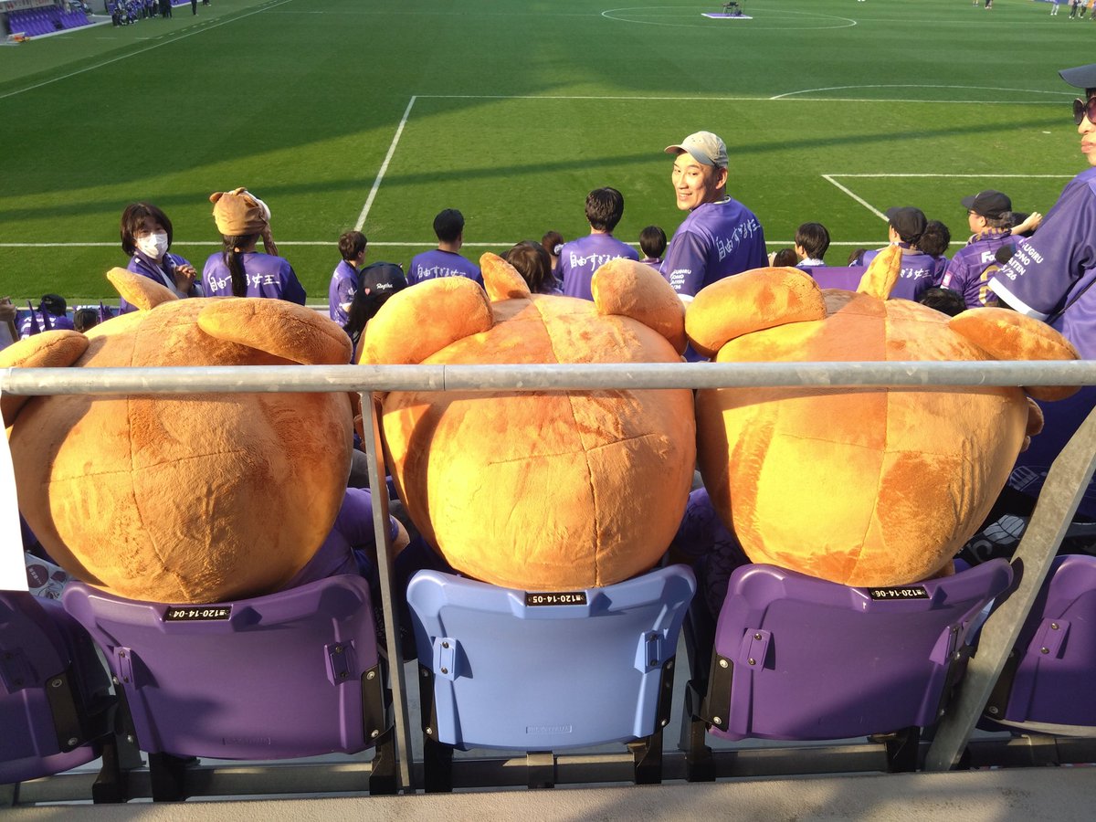 🐼ふうʕ•ᴥ•ʔ tweet media