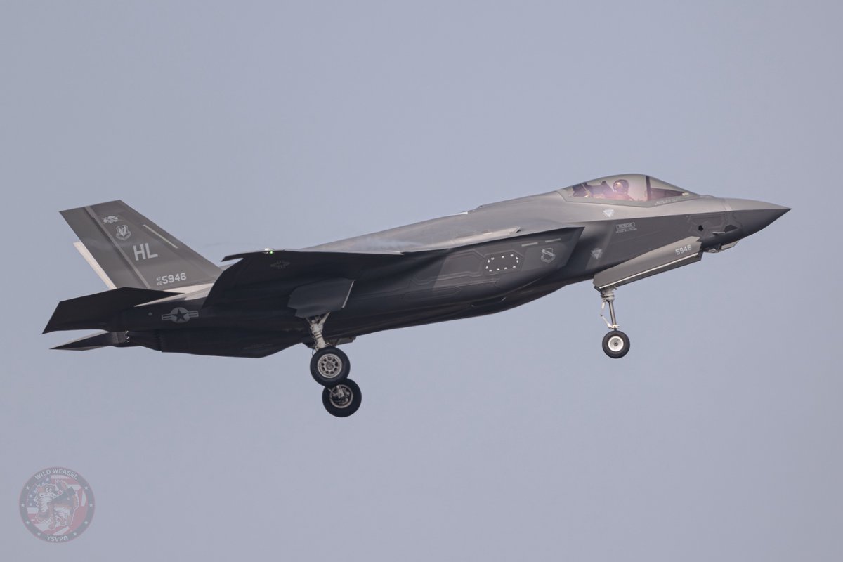 Wild Weasel tweet media