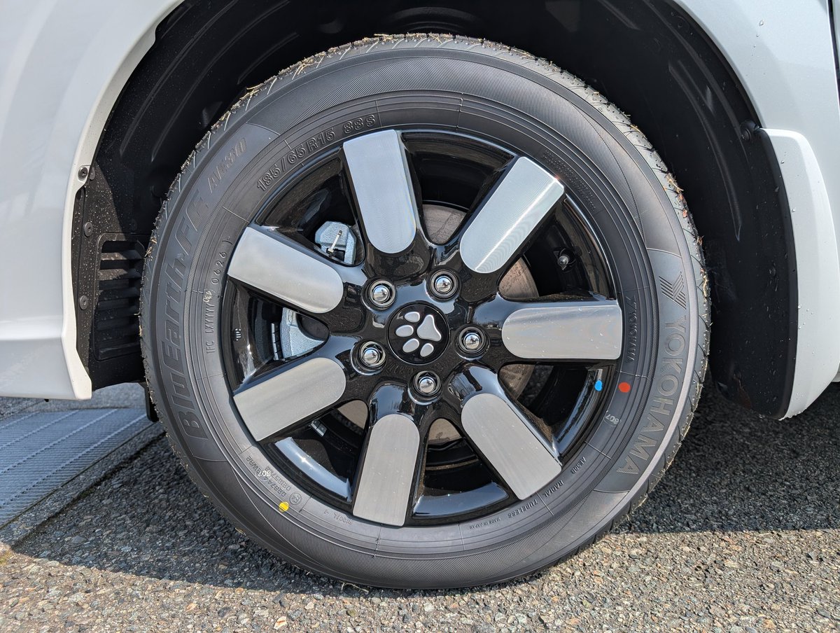 🐕きりさわ🐶 tweet media