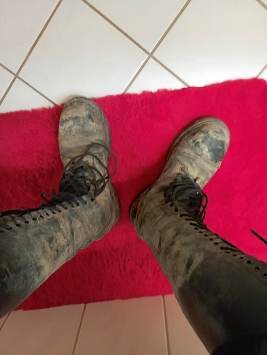 flyinghugo80's tweet photo. Wo bleibt der Lecksklave https://t.co/52DCZgE4Xq