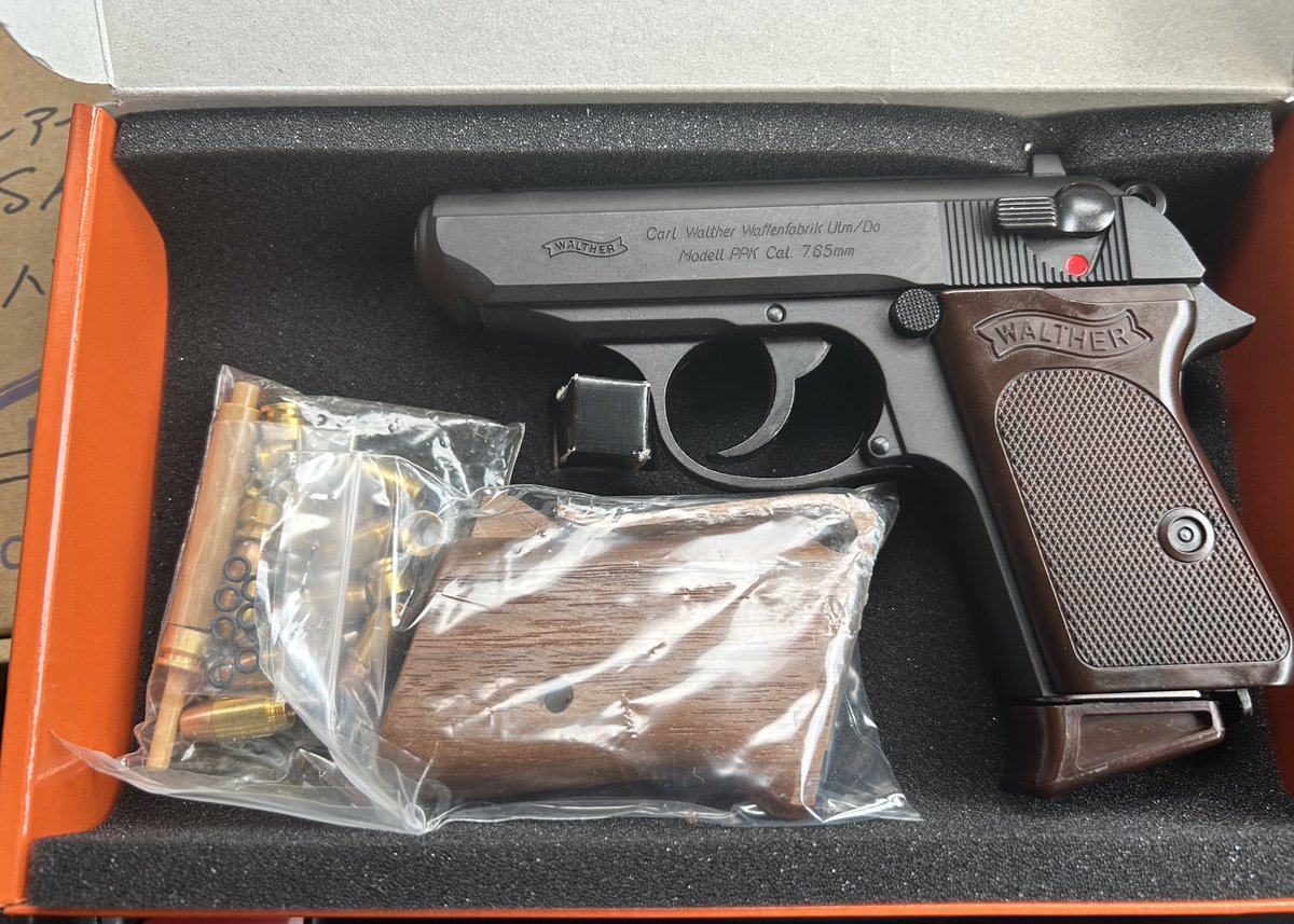 こんぐ　反省しています tweet media