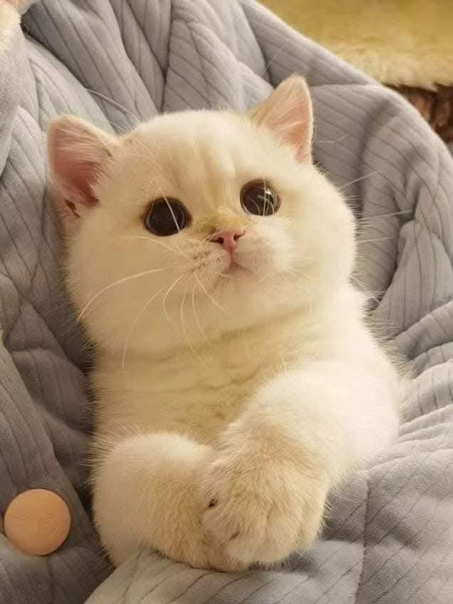 🦋❤️🔥🦋حياة 🦋❤️🔥🦋 tweet media