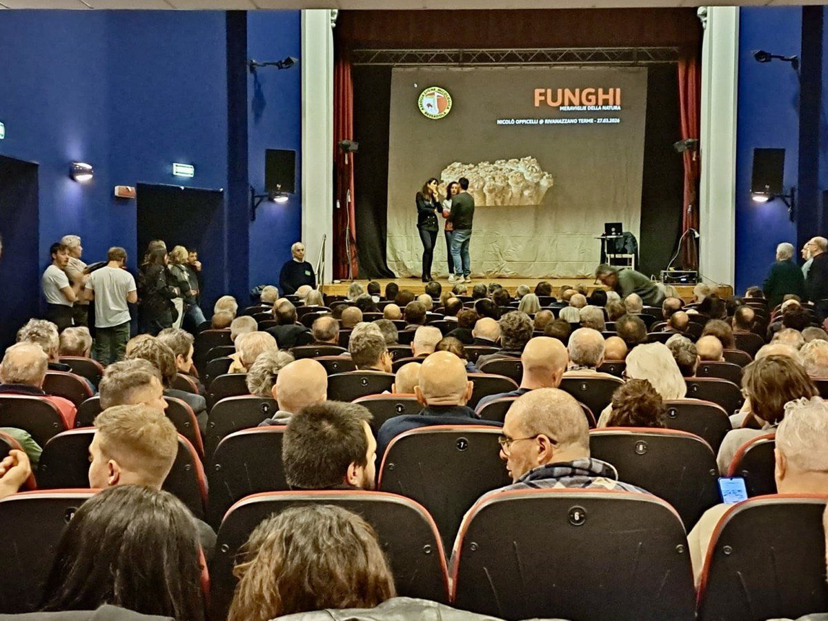 Elena Lucchini tweet media