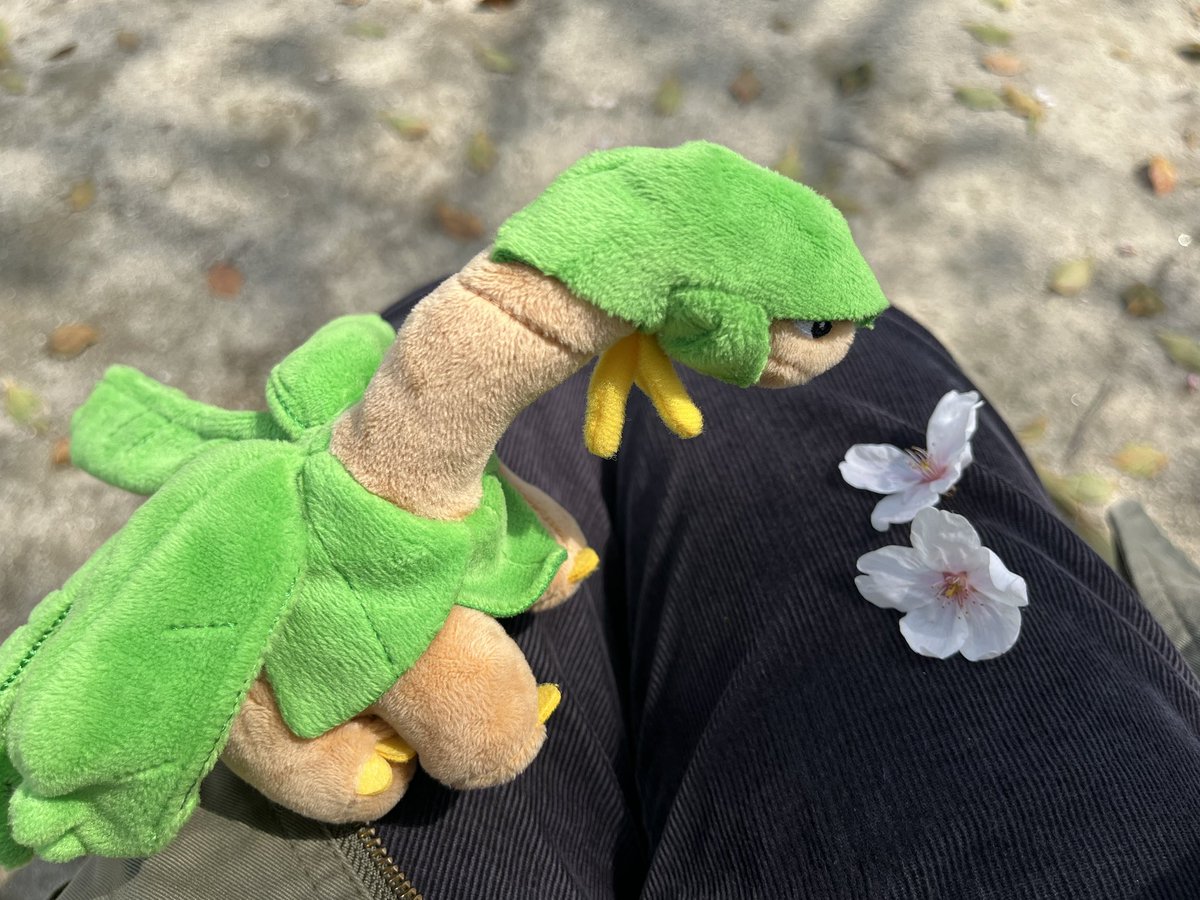 お散歩好きのトロピウス tweet media