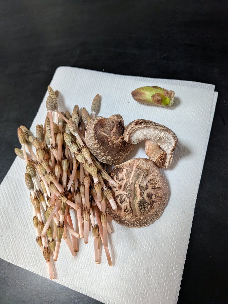 さと🐱🤖 tweet media