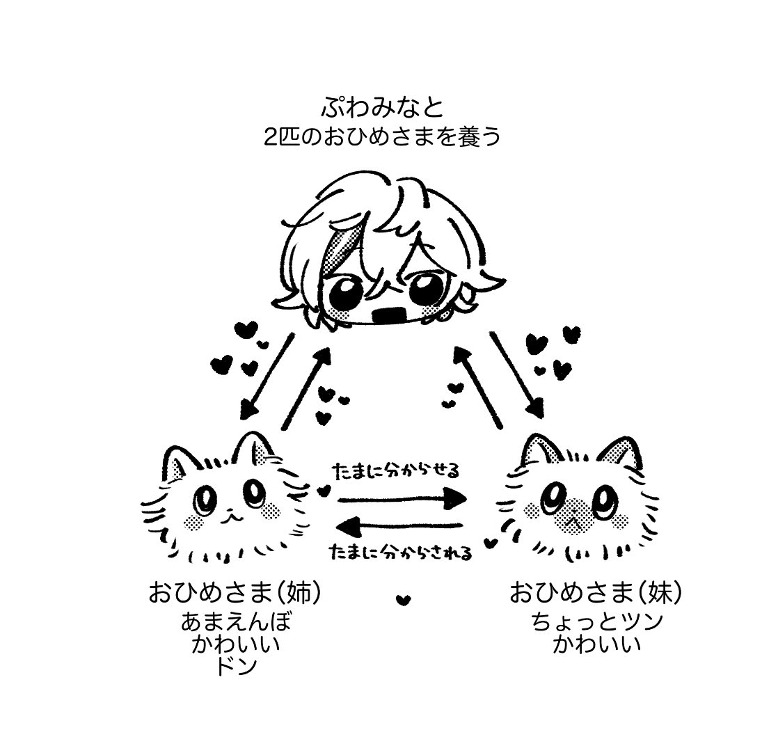 🙆‍♀️ tweet media