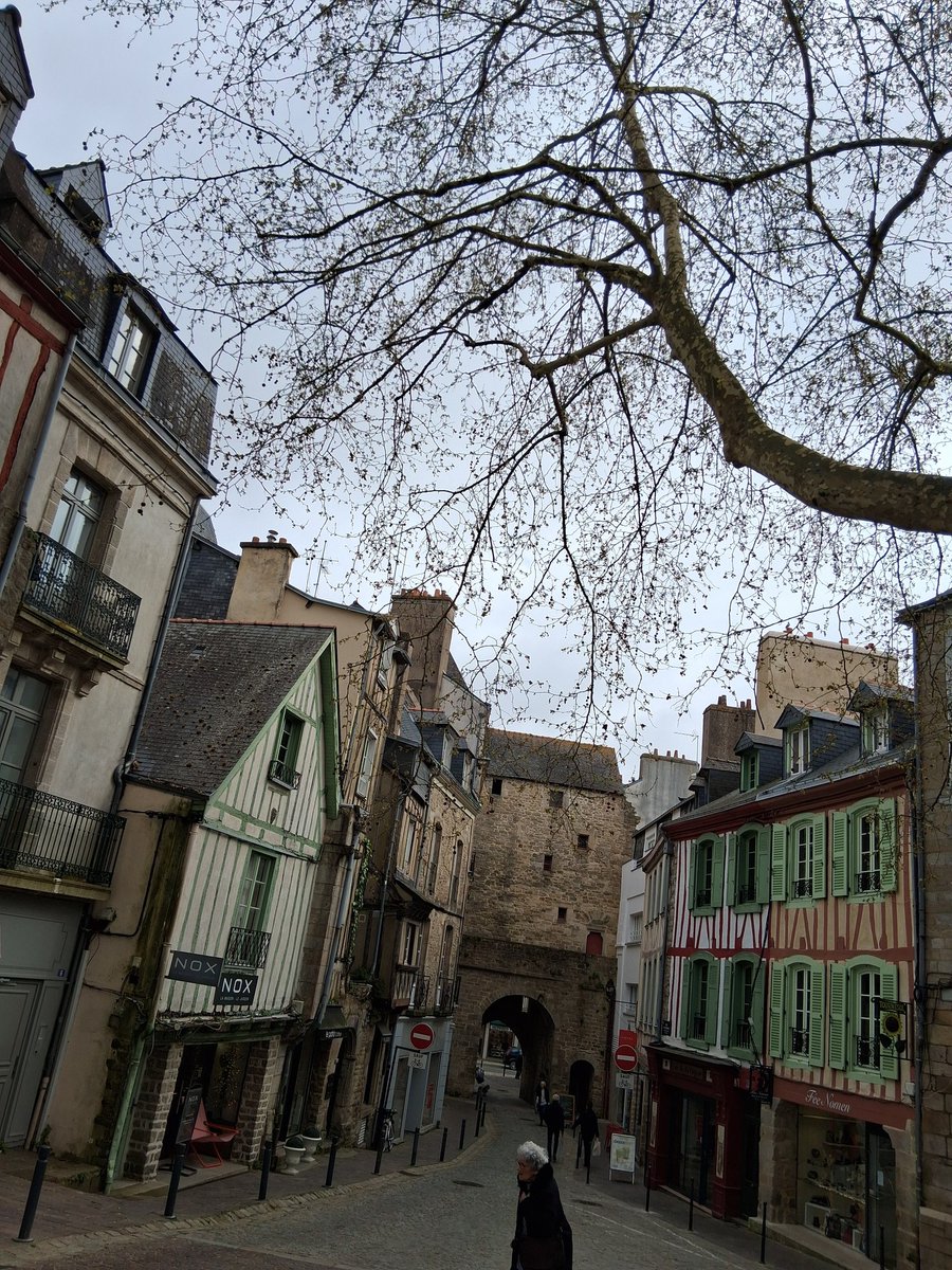 Lady Gogo tweet media