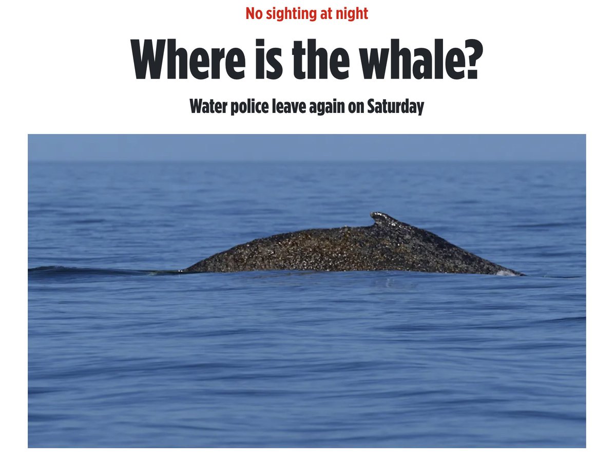 eugyppius tweet media