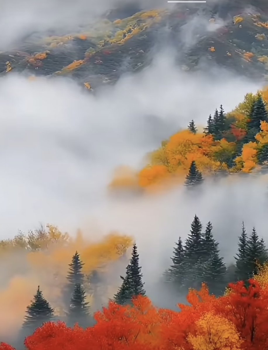 Amanda Maloy tweet media