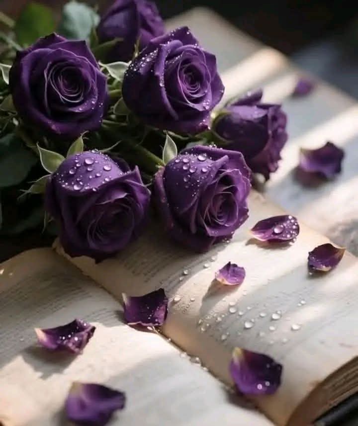 🦋❤️🔥🦋حياة 🦋❤️🔥🦋 tweet media