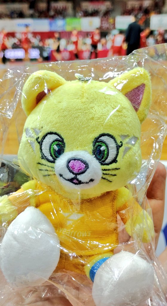 コガッチェ tweet media