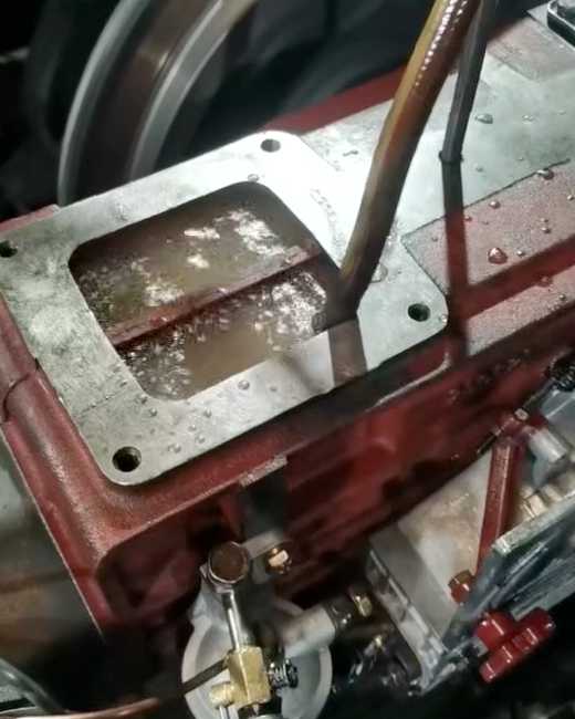 QiFang_factory tweet media