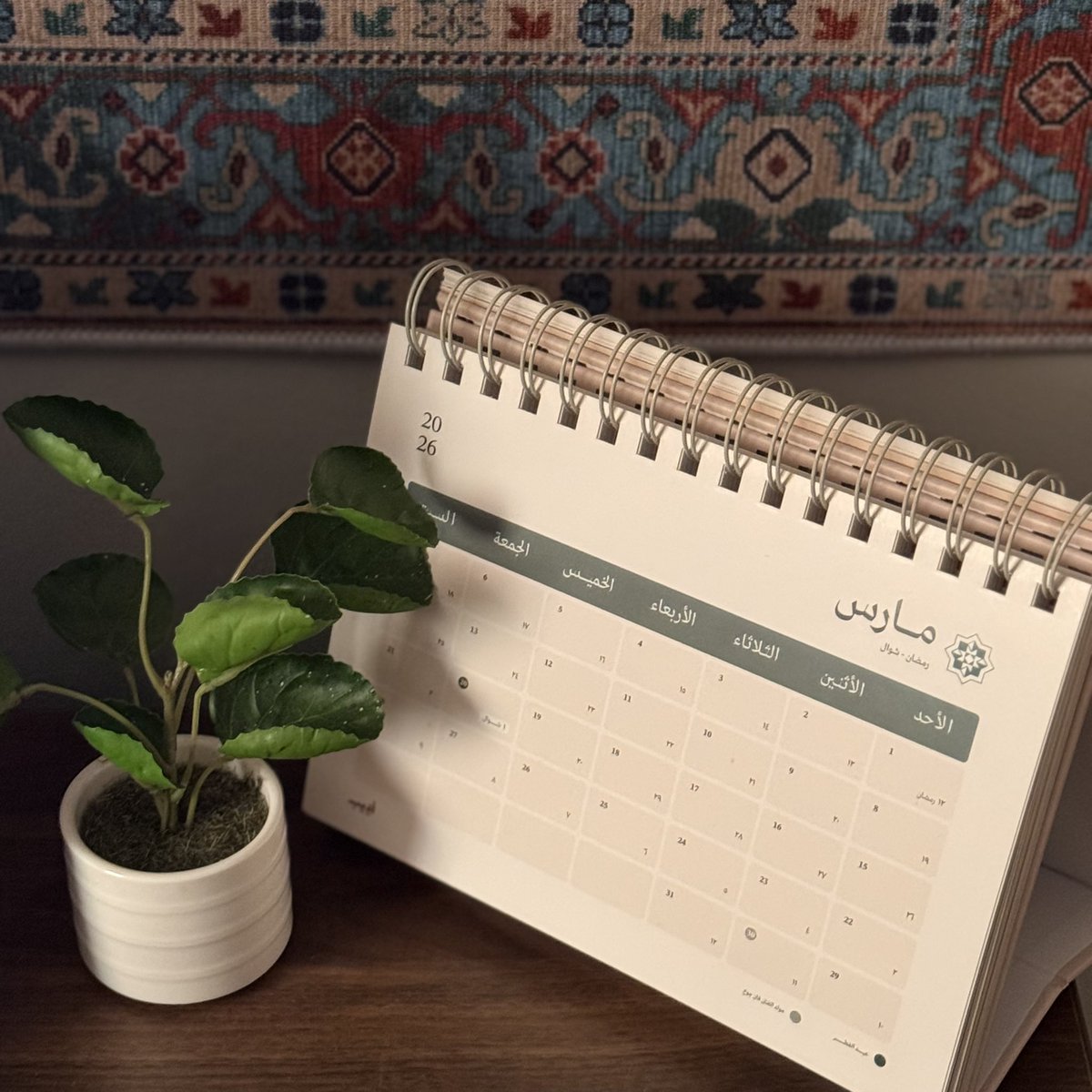 نَوال🪴 tweet media