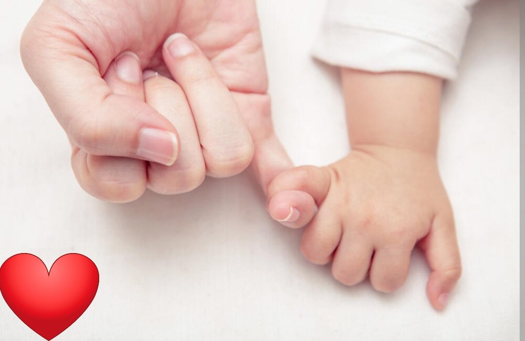 Јелена Вртикапа tweet media