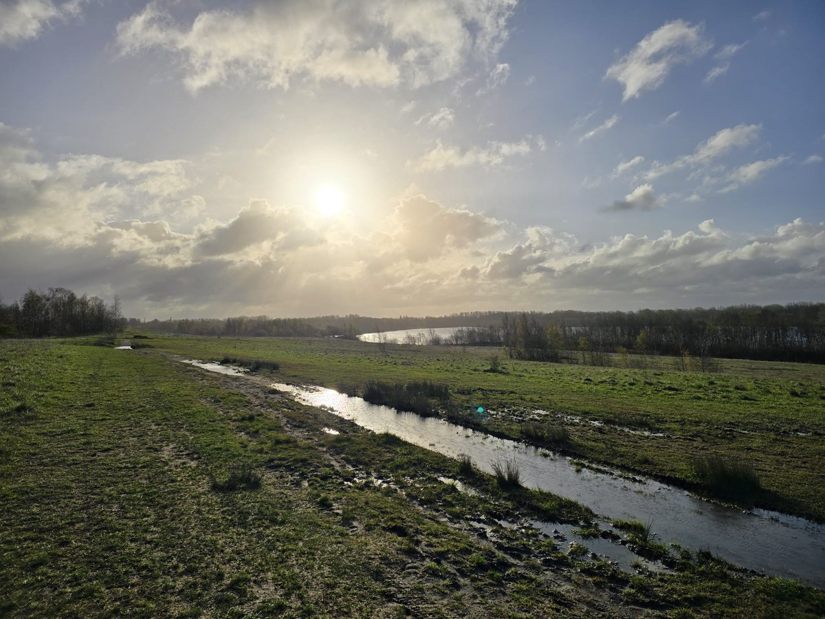 PenFlashparkrun tweet media